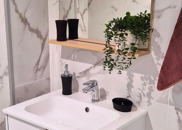 L'ambre - Moderne - Equipe - Douche * Lourdes