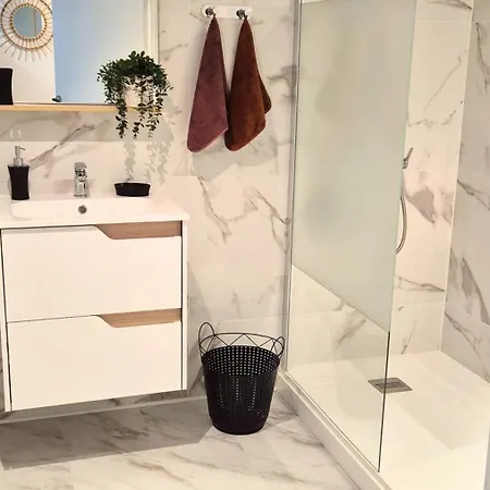 L'ambre - Moderne - Equipe - Douche 아파트 루르드
