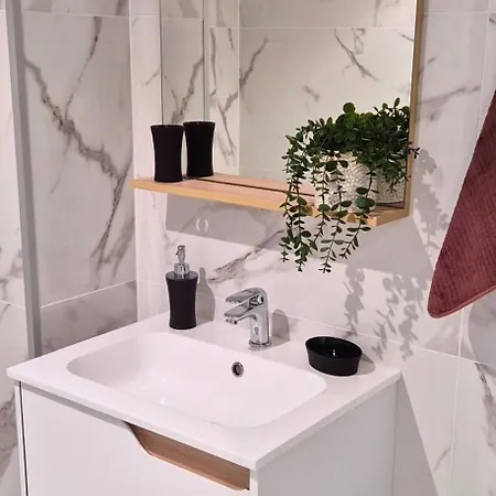 L'ambre - Moderne - Equipe - Douche * 루르드