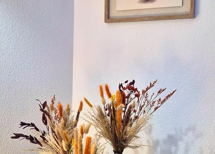 Apartament L'ambre - Moderne - Equipe - Douche